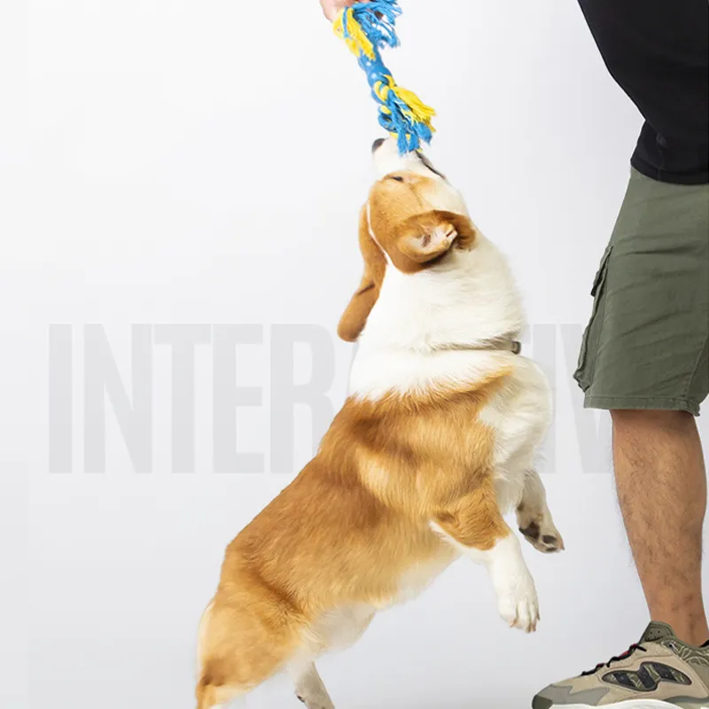 Pet Interactive Toy
