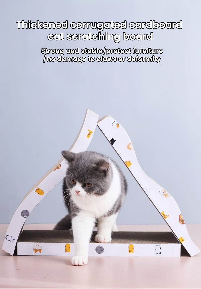 Cats Animals Customized Hf-Pet 55X35X8 China Catnip Toys for Toy with Good Service