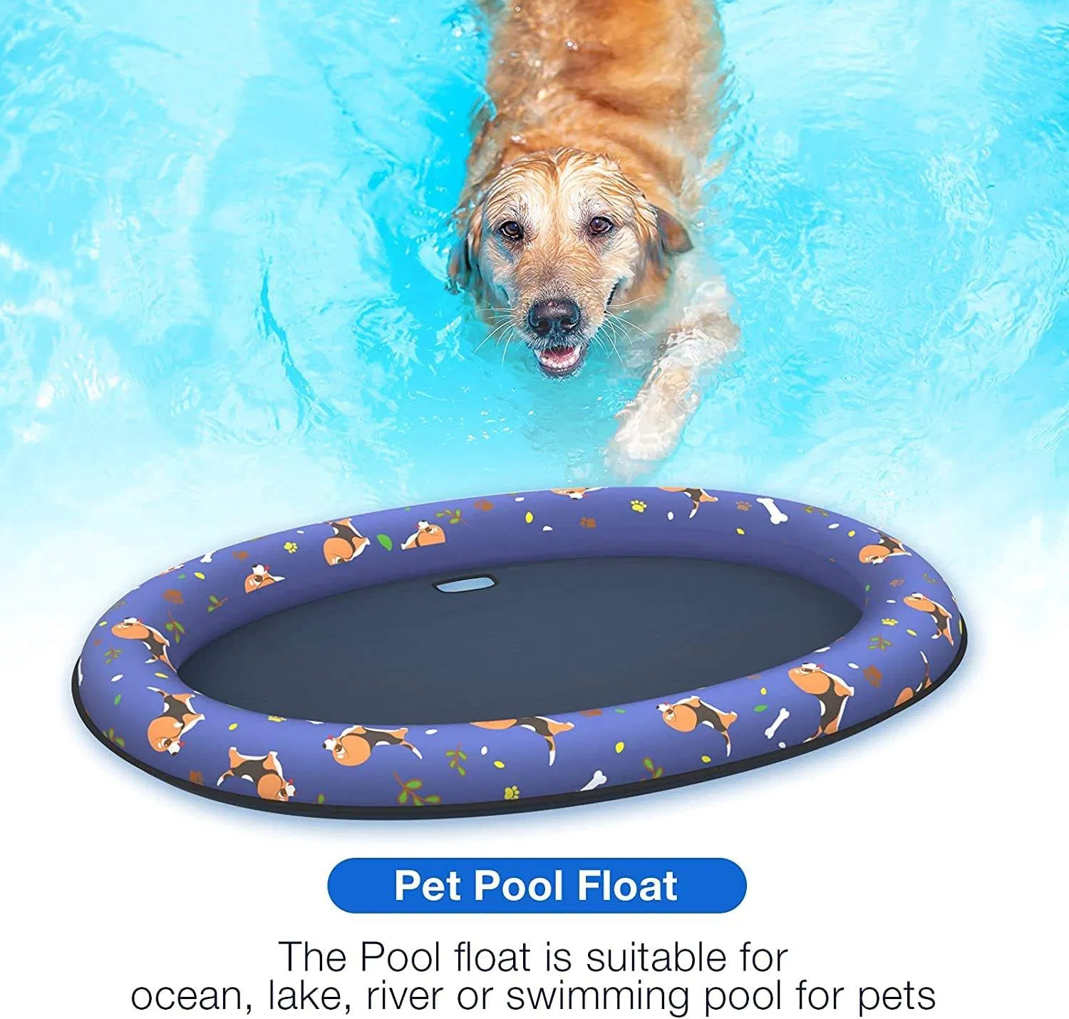 Pet Dog Inflatable Floating Row Toy