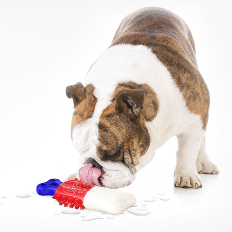 Molar Teeth Cleaning Water Floating Pet Toys