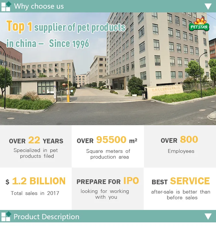 Durable Dog Dental Chew Toy