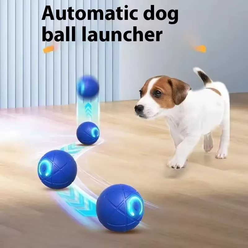 Smart Dog Ball