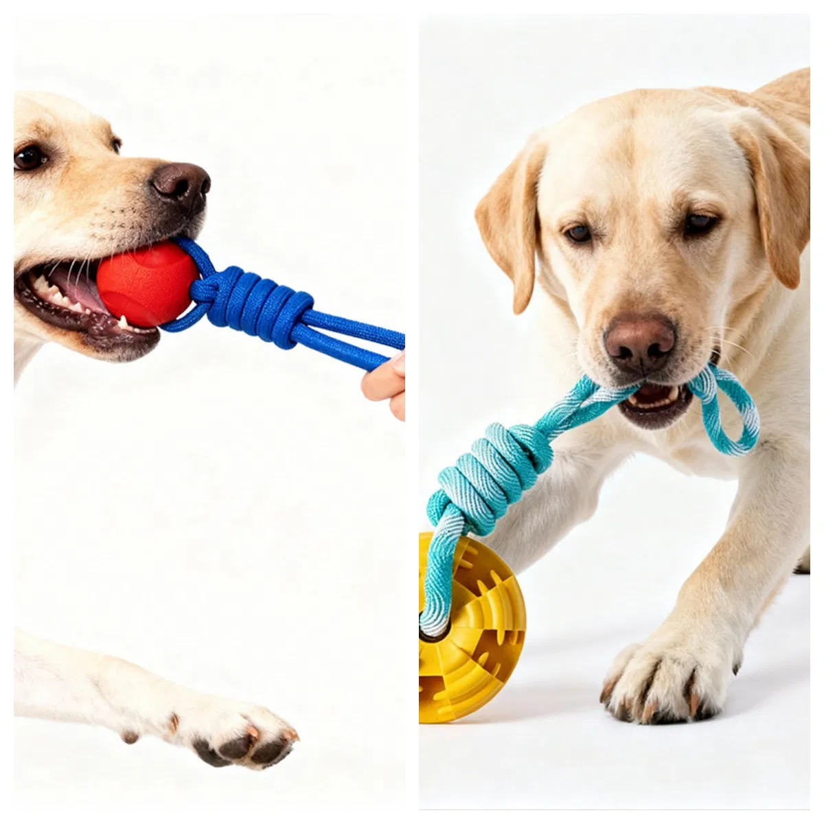 Cotton Rope Dog Toy