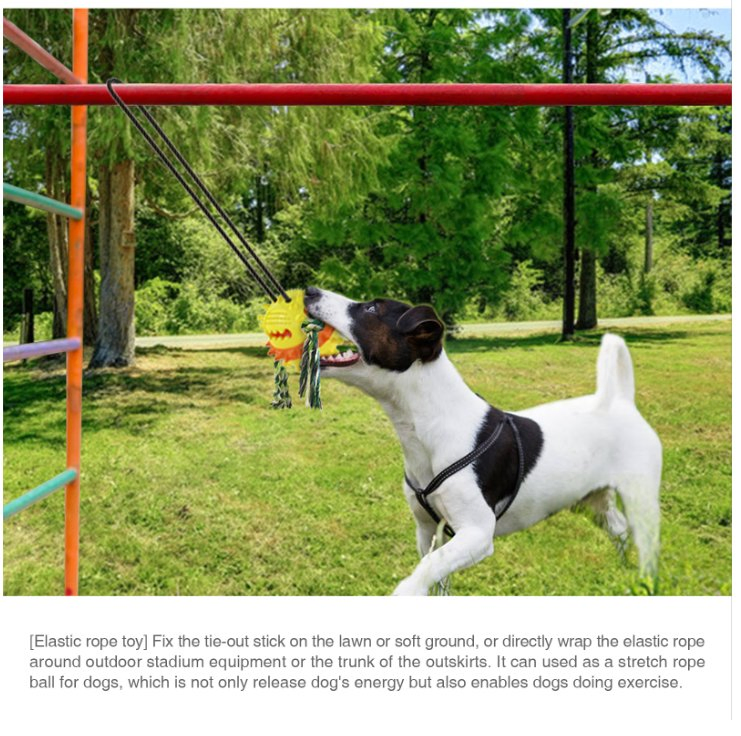 Hot Sale Outdoor Natreal TPR Material Pet Toy Dog Clean Teeth Toy