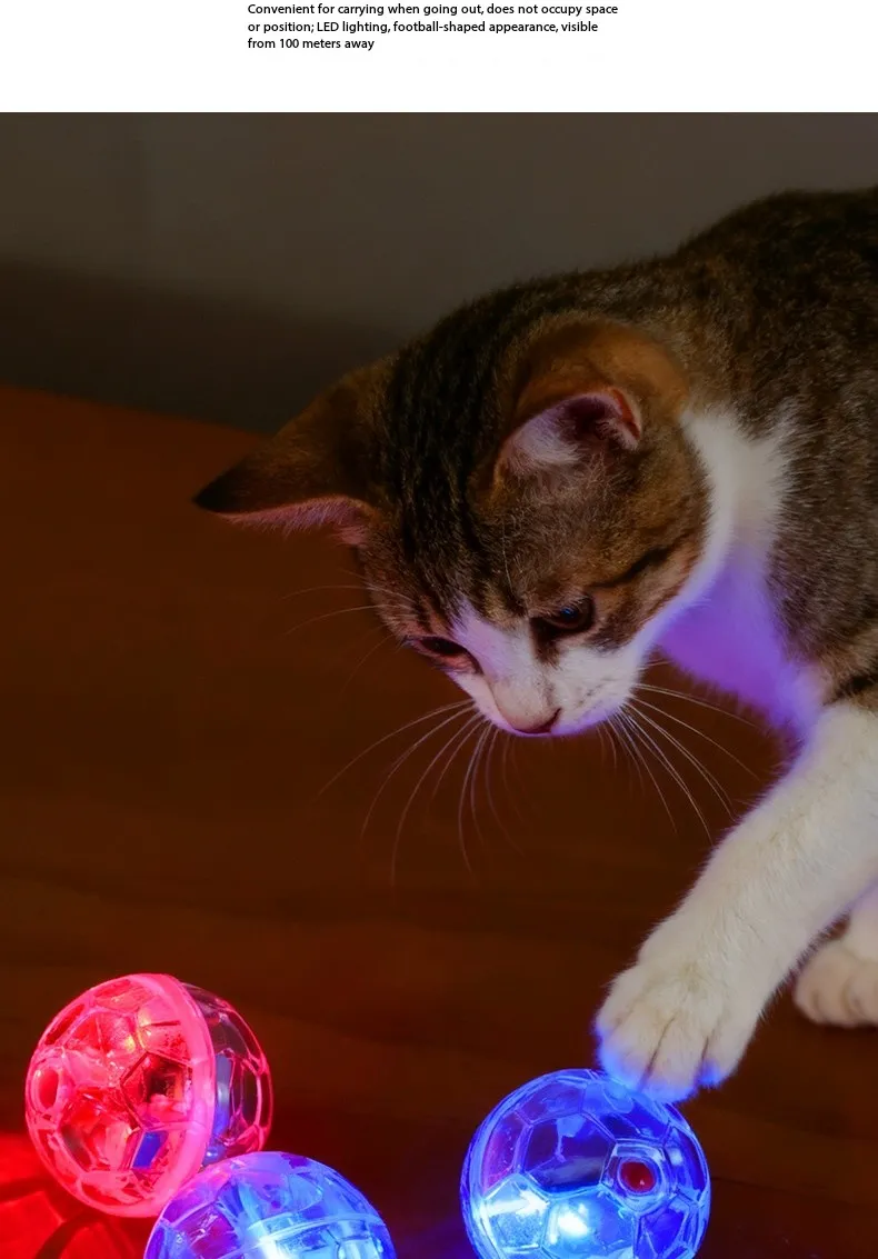 Cat Toy Ball 9