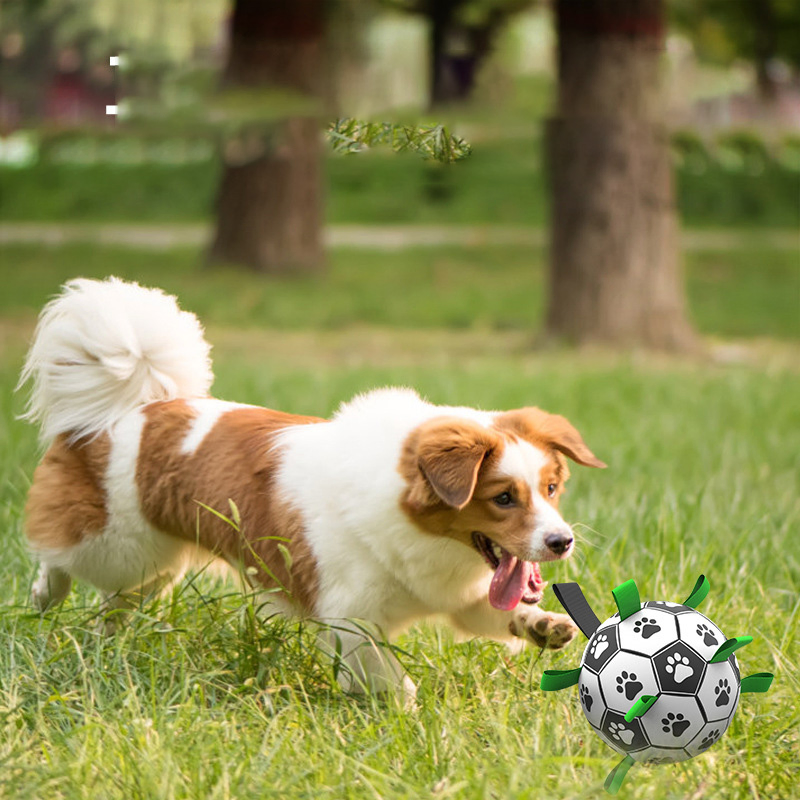 Soccer Toys for Dogs, Puppy Touring Training Toy Balls, Pet Balls