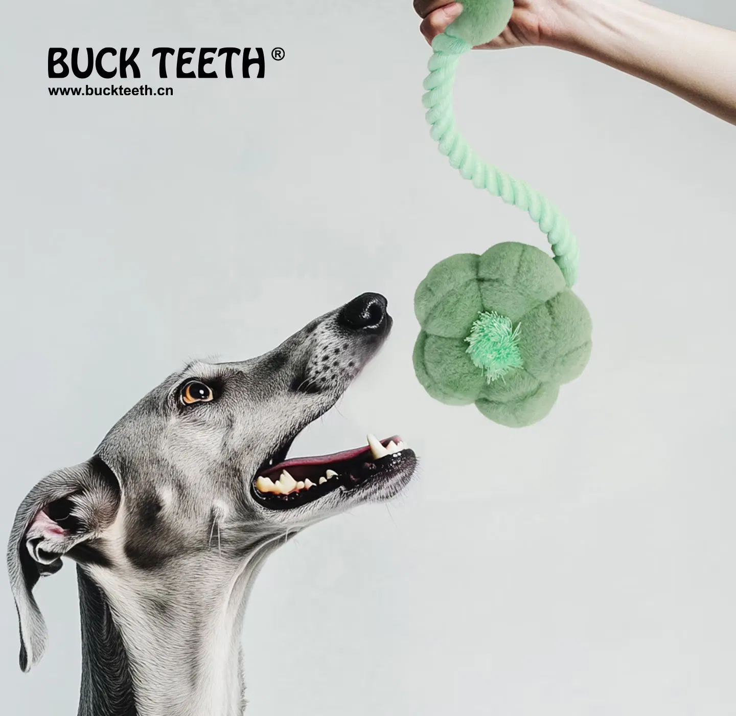 Buck Teeth Wholesale Pet Plush Toys with Rope for Dog Flower Series