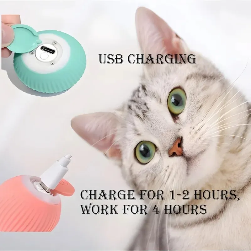 Smart Cat Toy 4