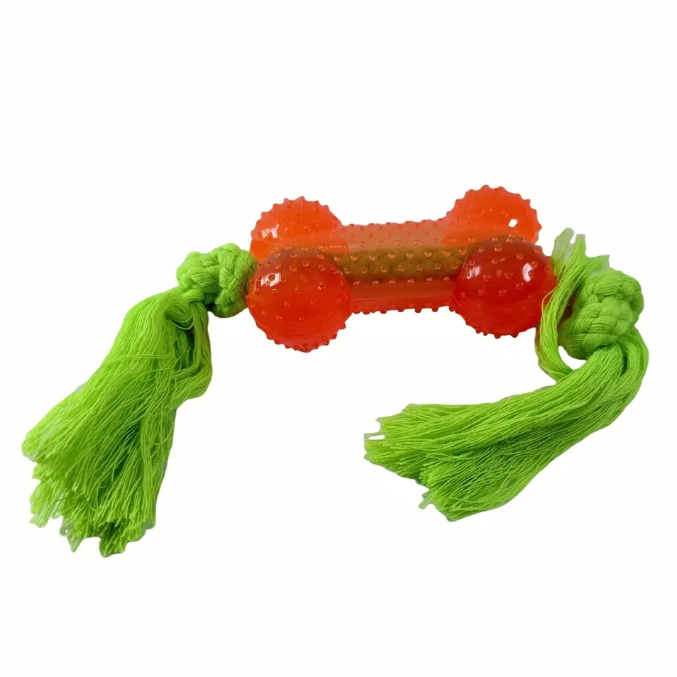 Indoor and Outdoor Toy