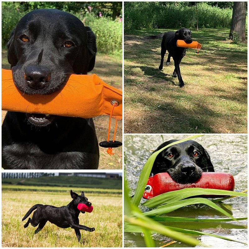 Factory Wholesale Outdoor Pet Toy Cotton Canvas Dog Training Dummy