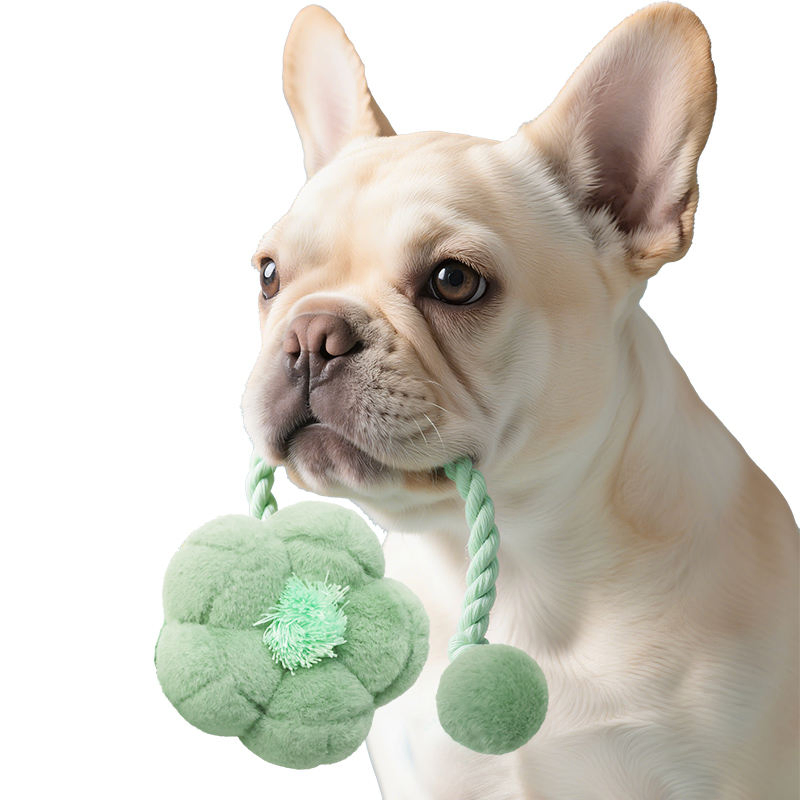 Buck Teeth Wholesale Pet Plush Toys with Rope for Dog Flower Series