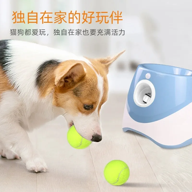 Dog Flying Toy 2