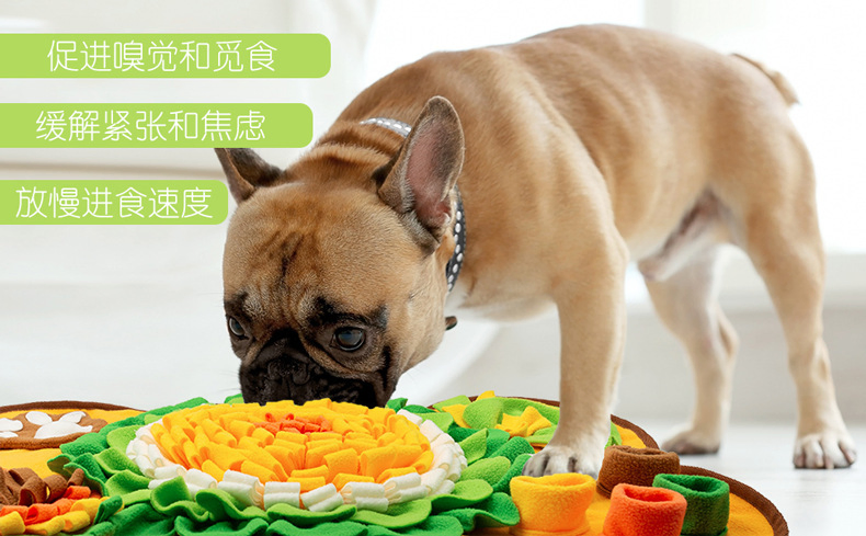 Pet-Safe Soft Pet Dog Cat Interactive Sniffing Mat Pad Food Treat Training Toy Feeder for Home Play