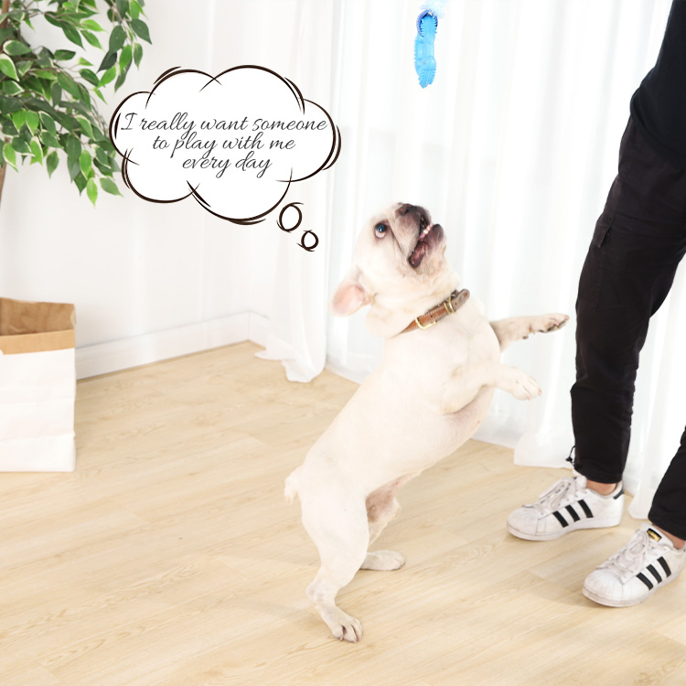 Pet Toy Elastic Rope Series Dog Rope Toy Bungee Chaser Tug Toy