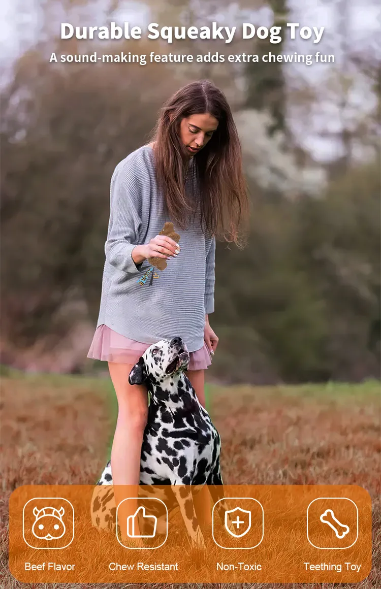 Squeaky Dog Chew Toy 1