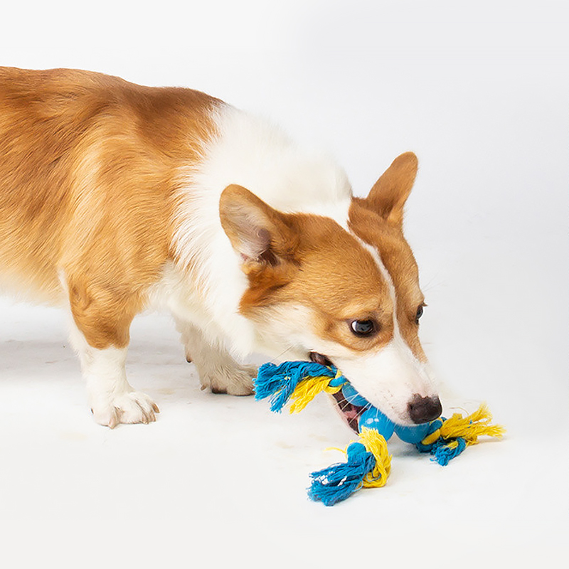 Factory Wholesale Eco-Friendly Soft TPR Pet Interactive Toy Dog Pulling Toy