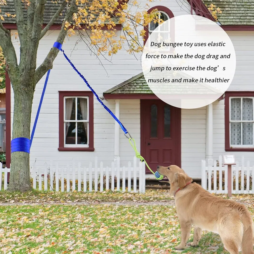 Training Toy Detail 7