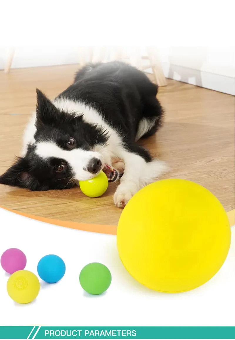 Durable Chew Proof Hollow Pet Toys