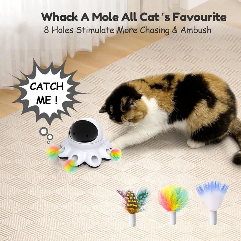 Interactive Pet Toy 2
