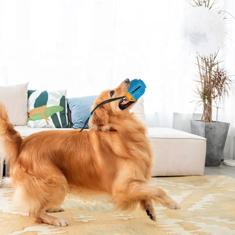 Training Treats Food Dispensing Toothbrush Chewer Toy with Suction Cup