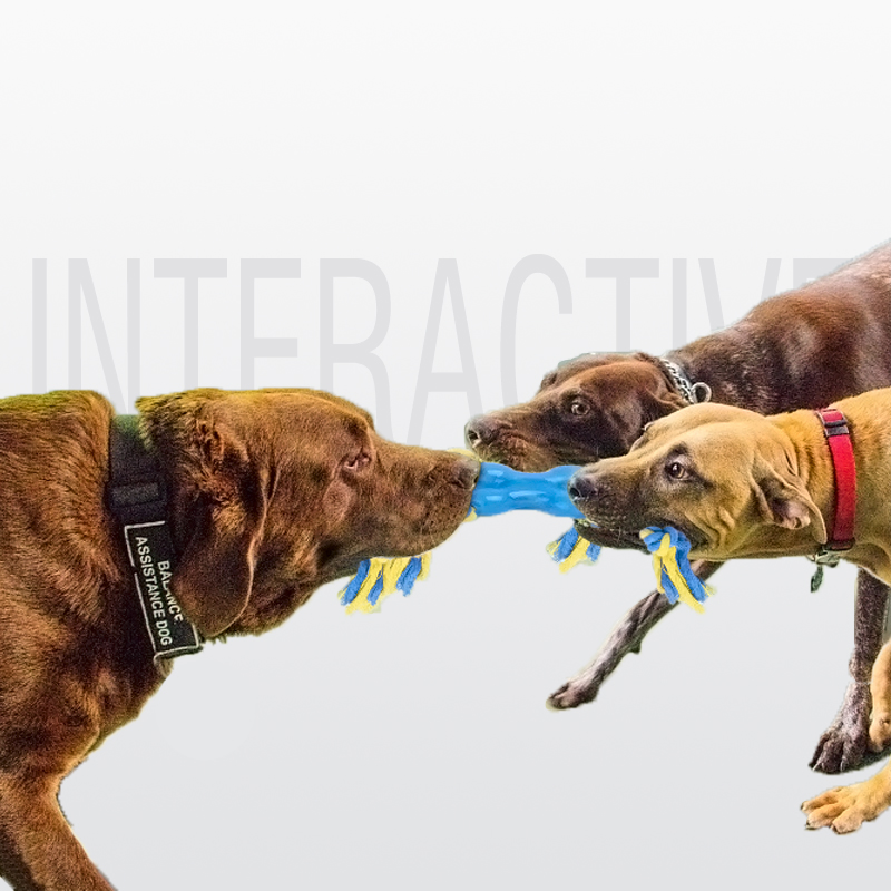 Factory Wholesale Eco-Friendly Soft TPR Pet Interactive Toy Dog Pulling Toy