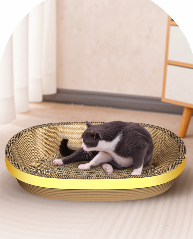 Cats Animals Customized Hf-Pet 55X35X8 China Catnip Toys for Toy with Good Service