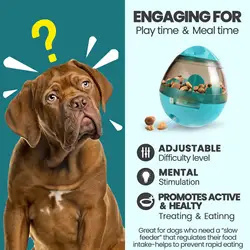 Treat Dispensing Dog Toys Interactive Pet Slow Feeder Ball Dog Treat Ball