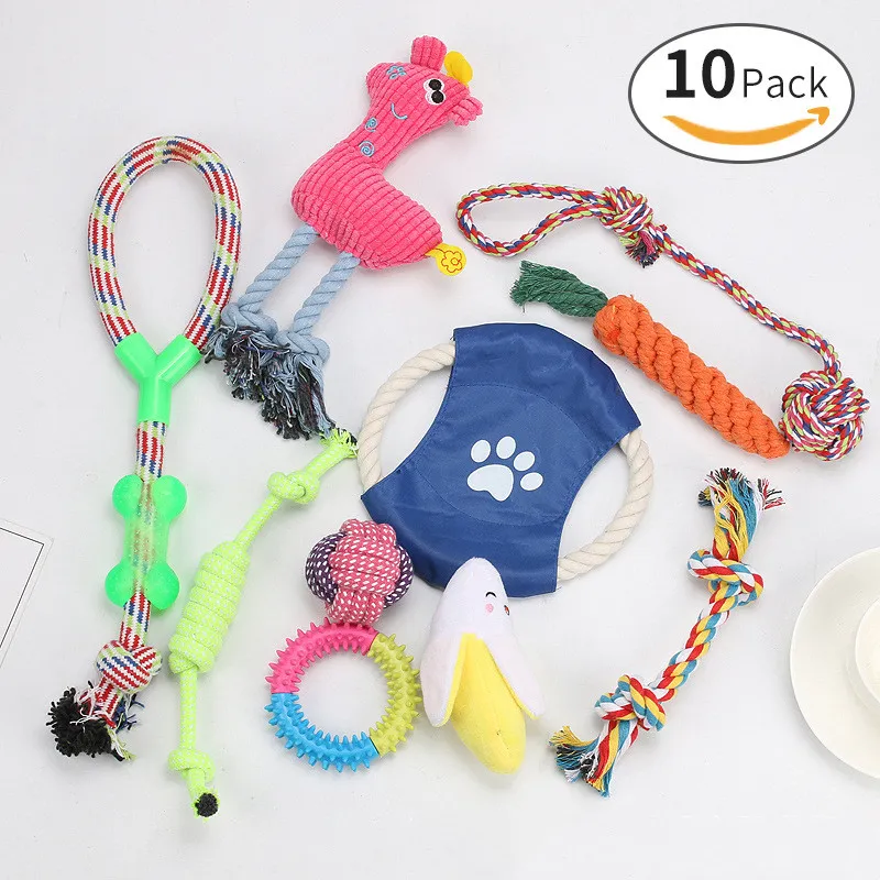 Pet Toy Photo