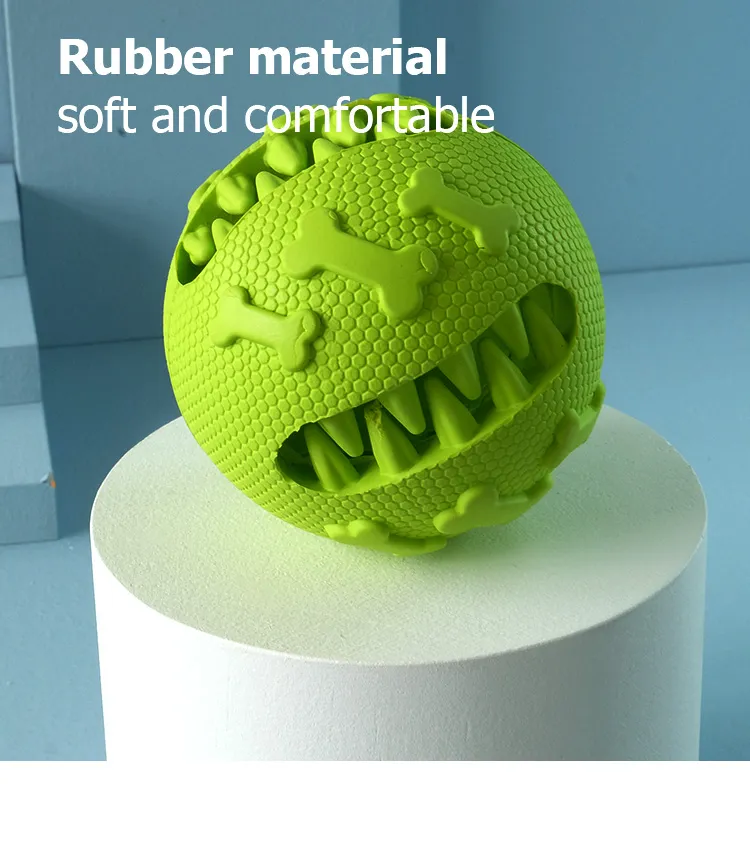 Toothbrush Toy Feature