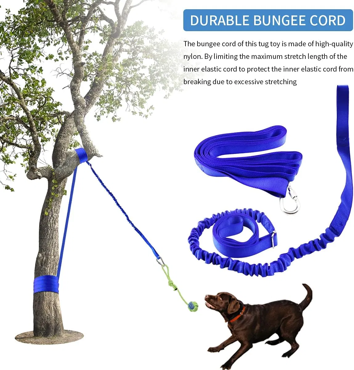 Best for Tug of War Bite Training Pull Exercise Solo Play Pet Toy