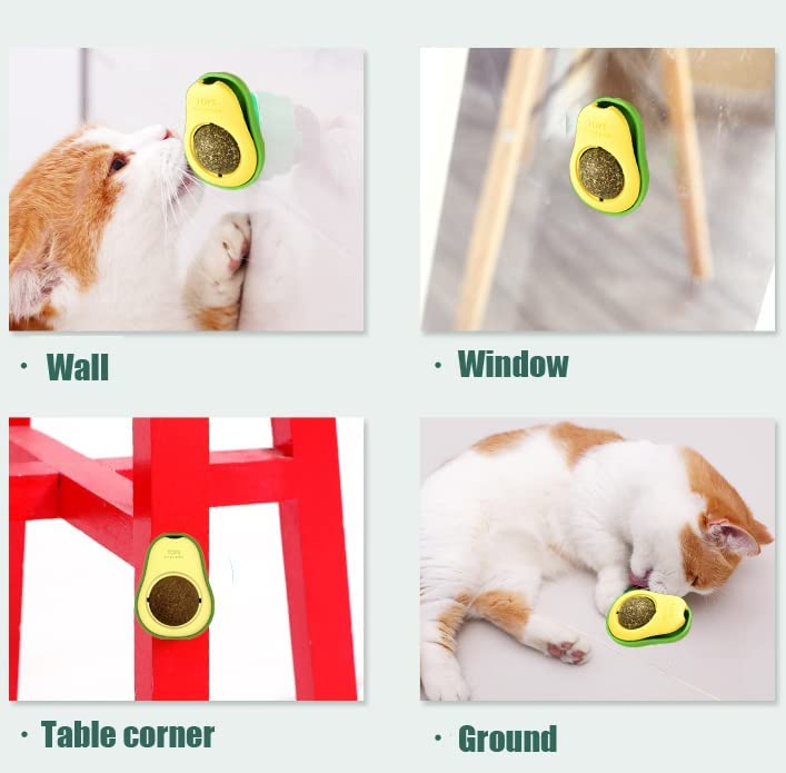 Wall Teeth Cleaning Catnip Balls Cute Rotatable Avocado Shape Pet Mint Toy