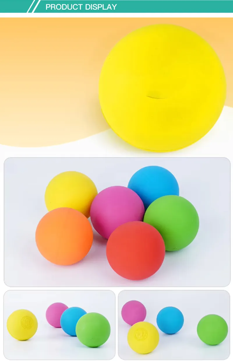 Squeaky Ball Interactive Training Toys