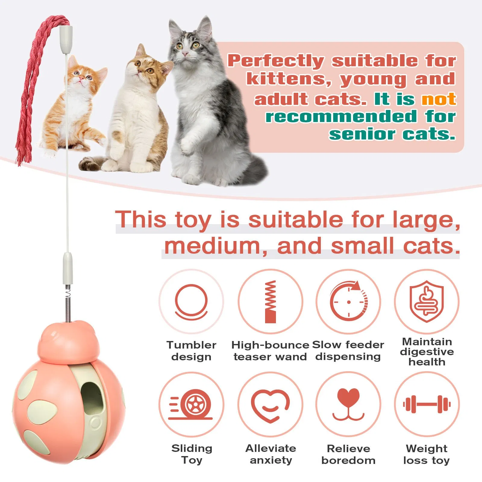 Durable Interactive Pet Toy for Cats with Beetle Glide Puzzle Design