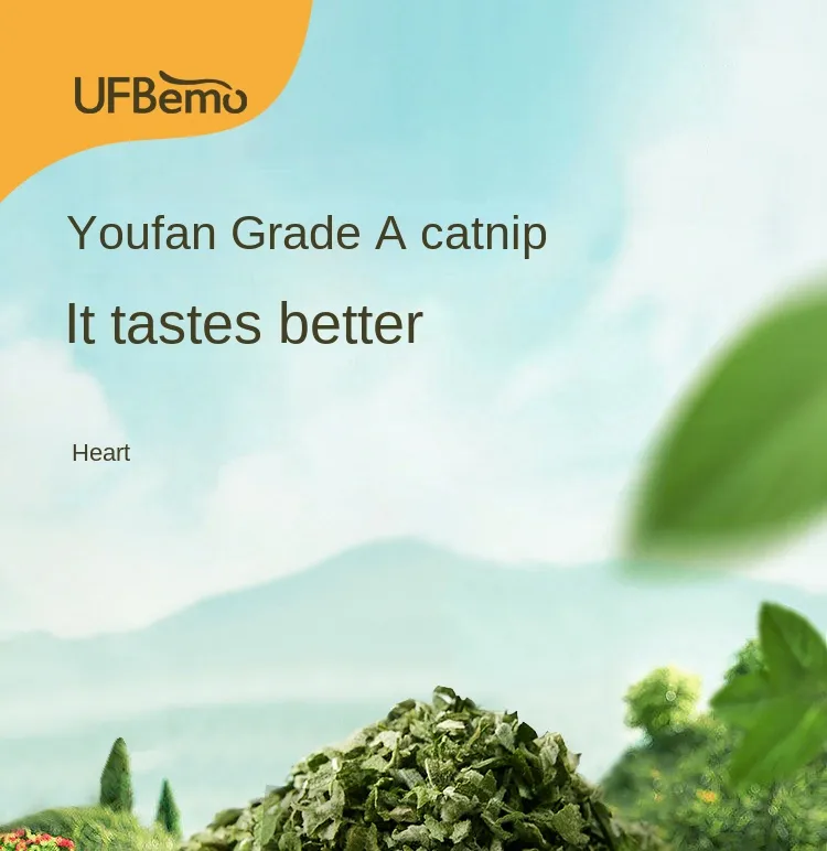 Catnip Powder Overview