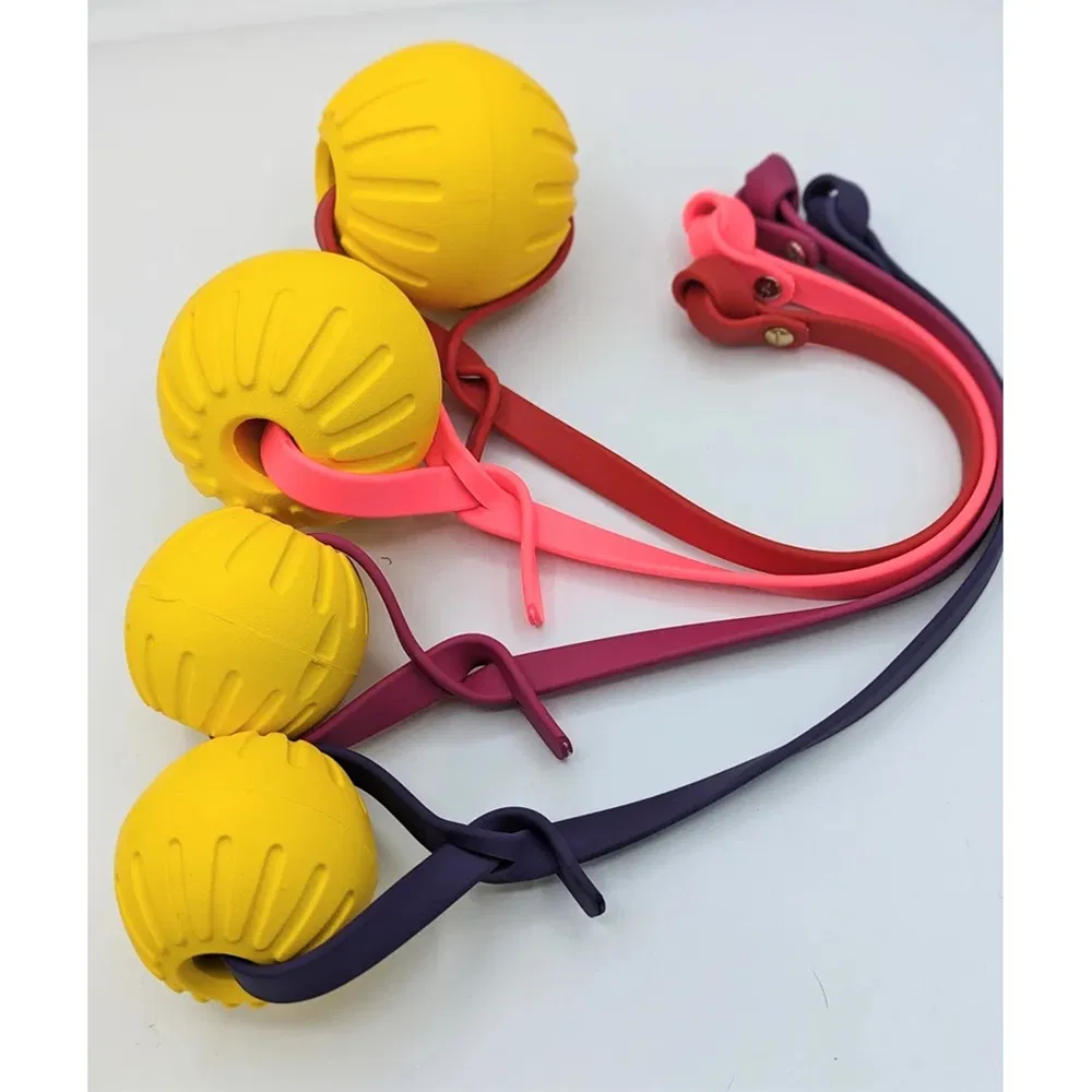 Pet Interactive Toy Ball 4