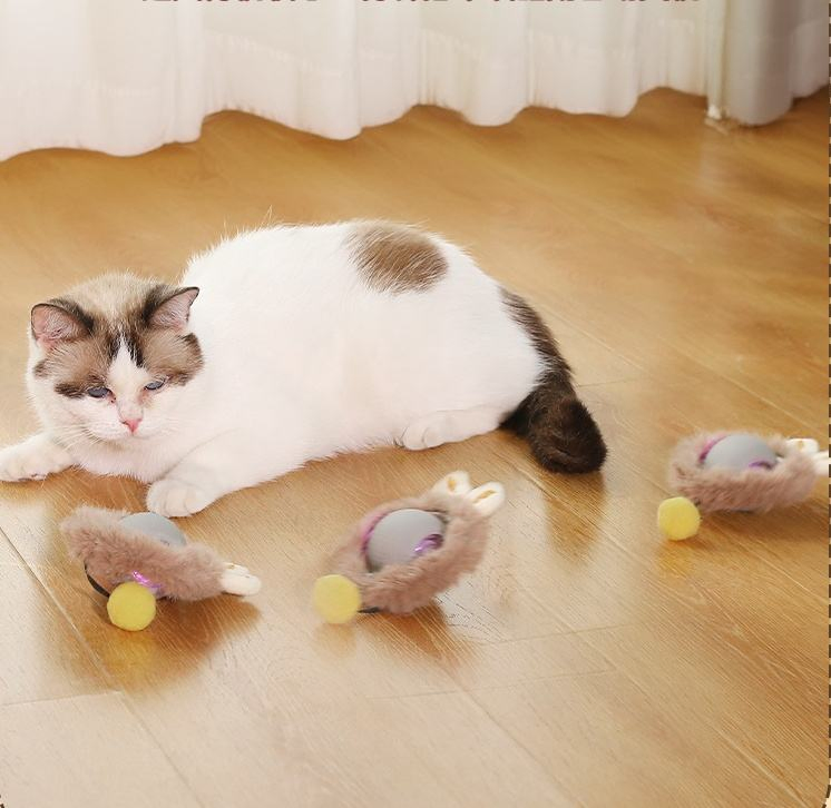 New Automatic Rolling Cat Toy for 360° Rotation Eliminate Pet Boredom Interactive