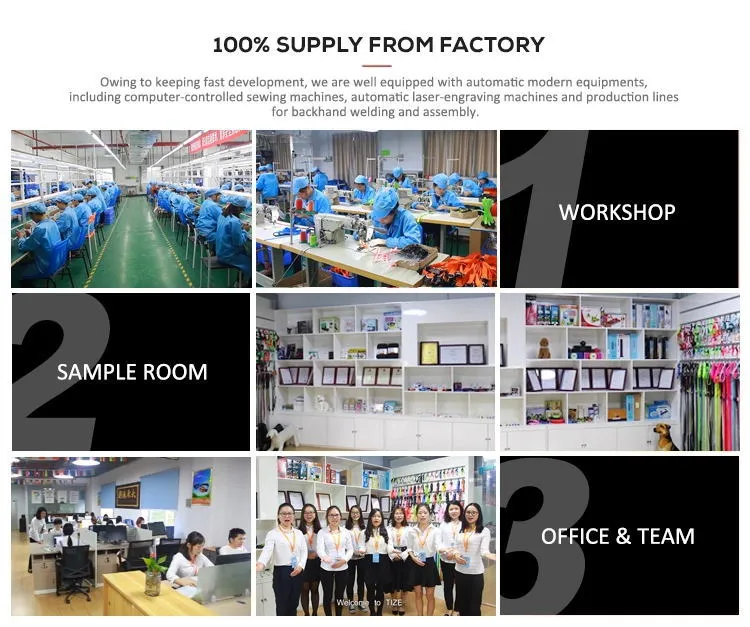 Squeaky Dog Chew Toy 10