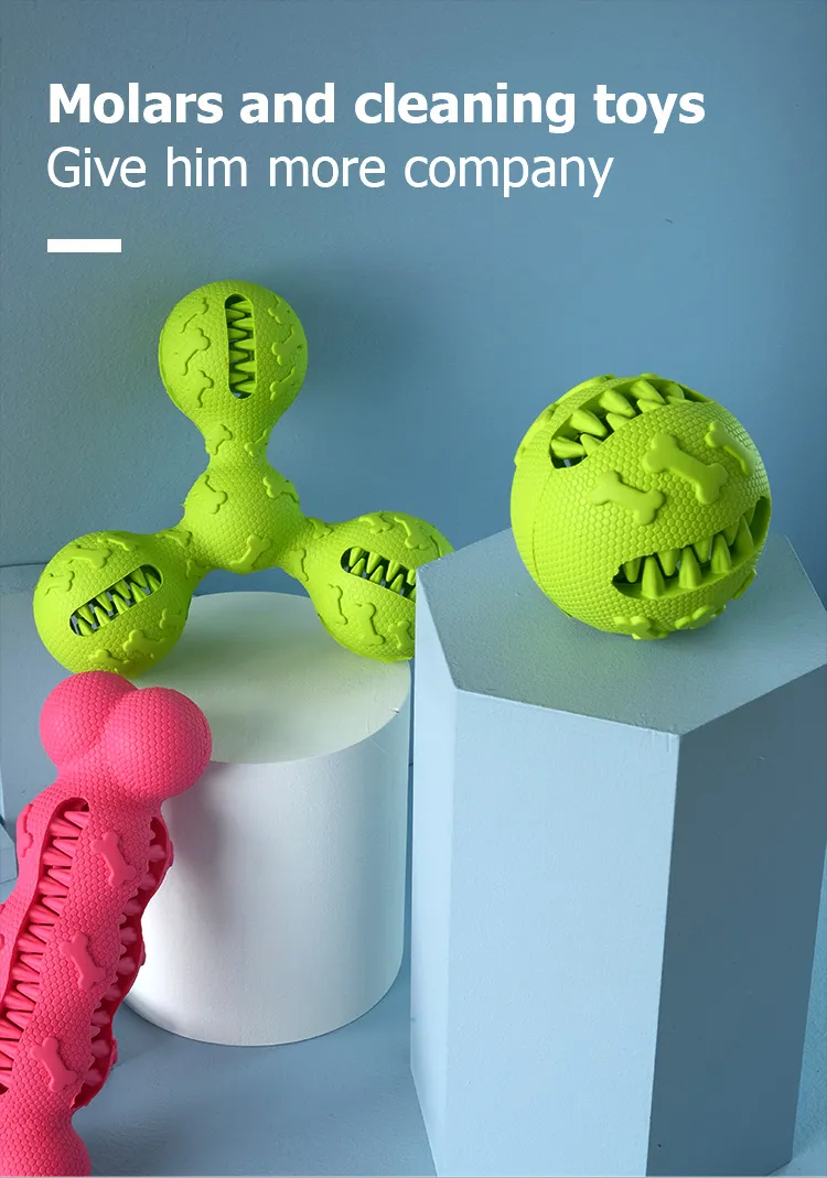 Pet Chew Toy Display