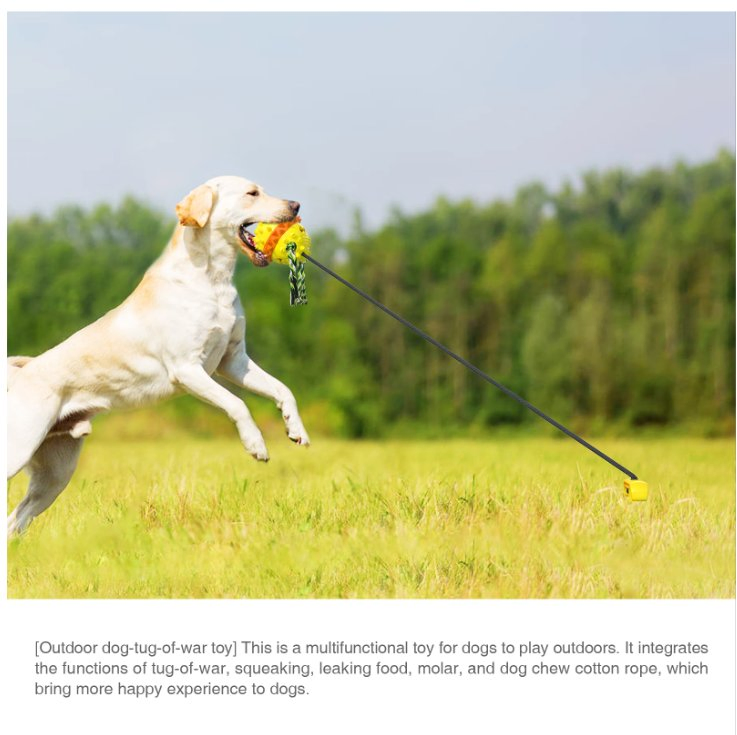 Hot Sale Outdoor Natreal TPR Material Pet Toy Dog Clean Teeth Toy