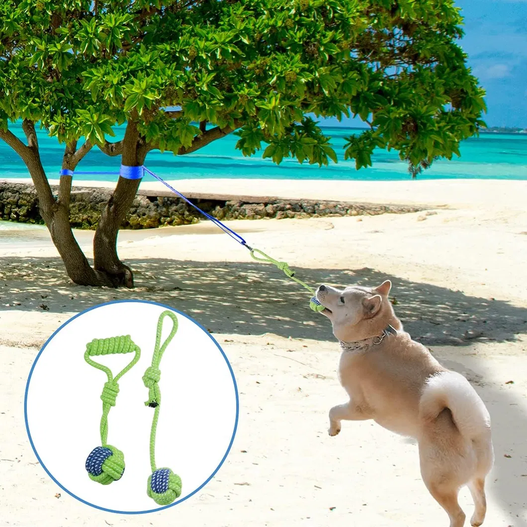 Training Toy Detail 6