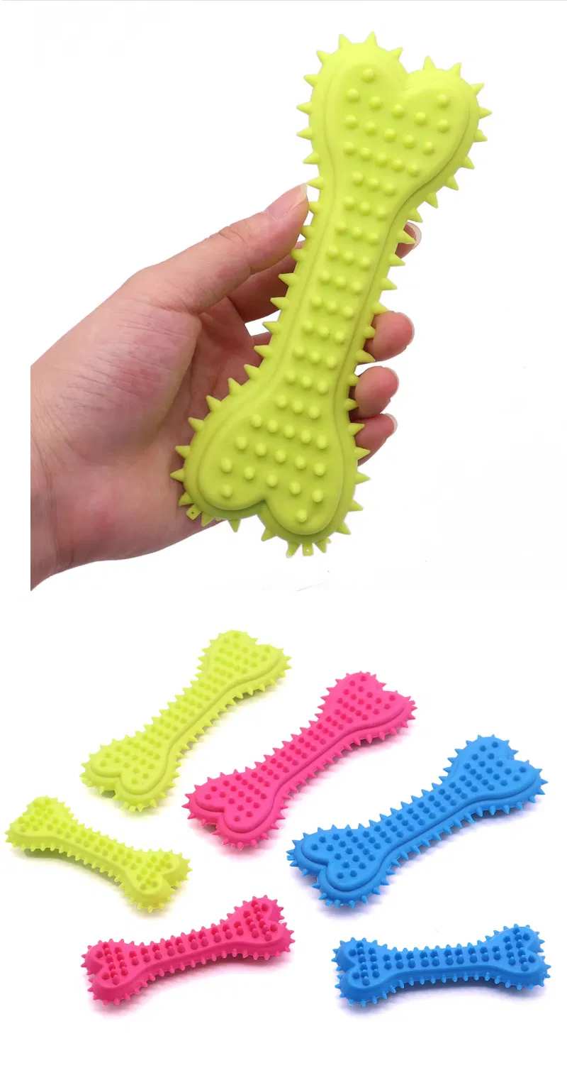 Dental Care Toy