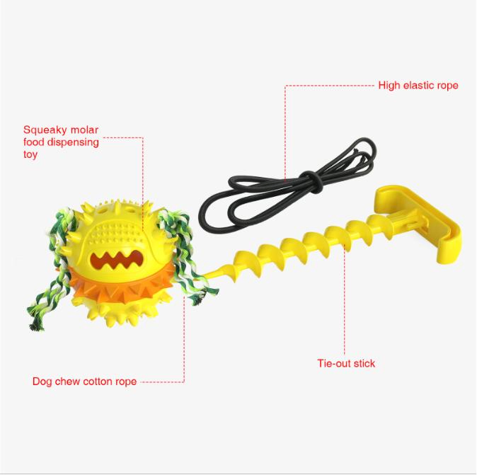 Hot Sale Outdoor Natreal TPR Material Pet Toy Dog Clean Teeth Toy