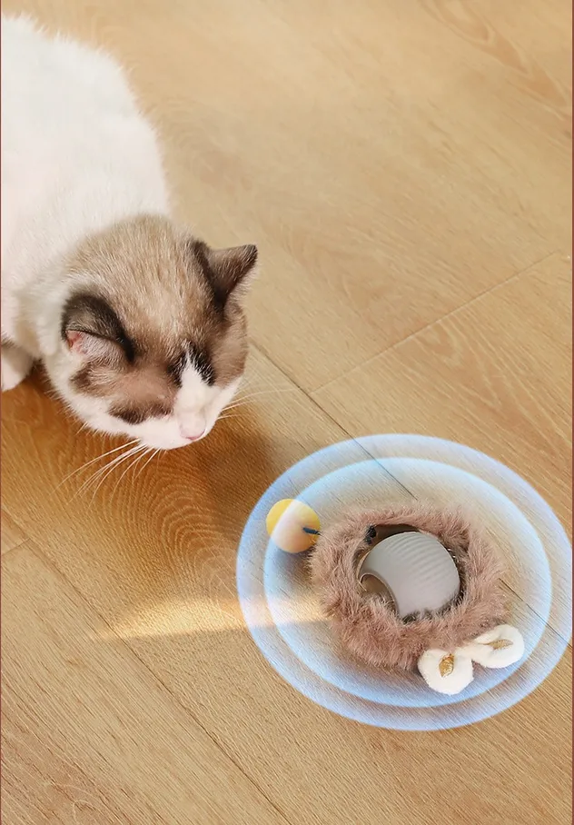 Cat Toy View 3