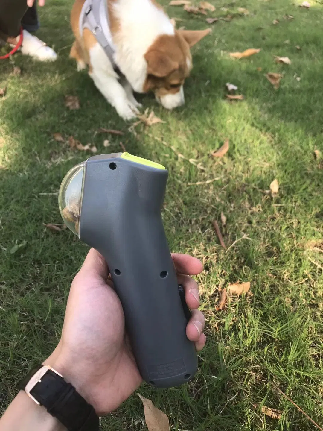 Outdoor Beach Toy Dog Cat Treat Launcher Snack Food Feeder Pet Supplies