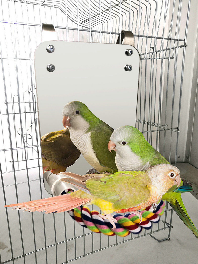 Pet Bird Large Mirror Rope Perch Cage Toy Wbb12582