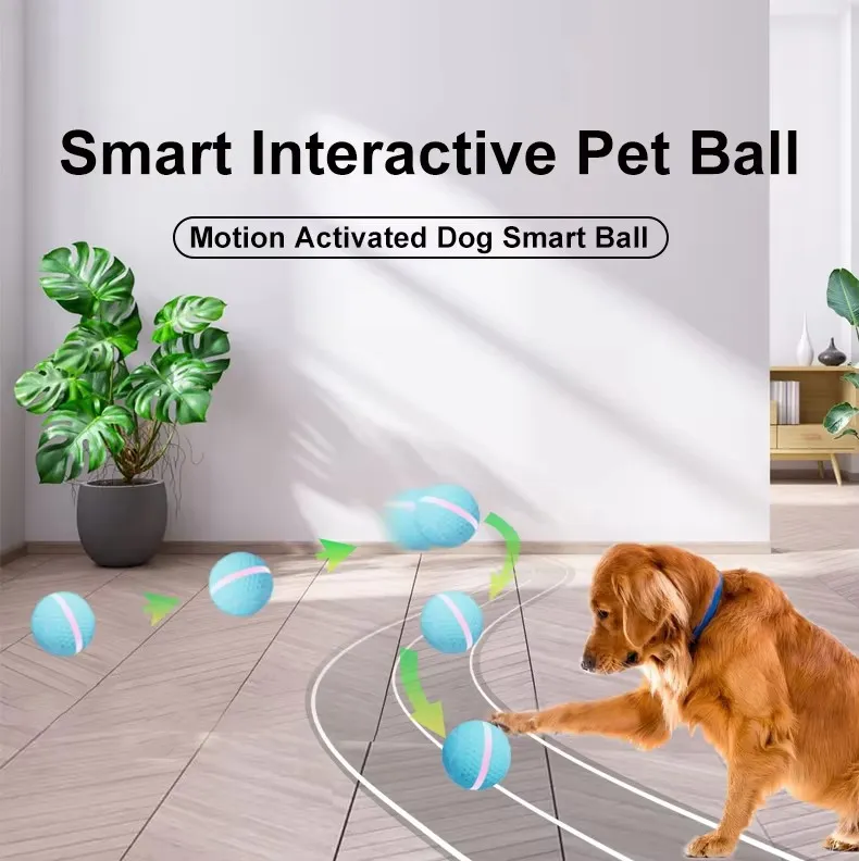 Pet Toy Feature
