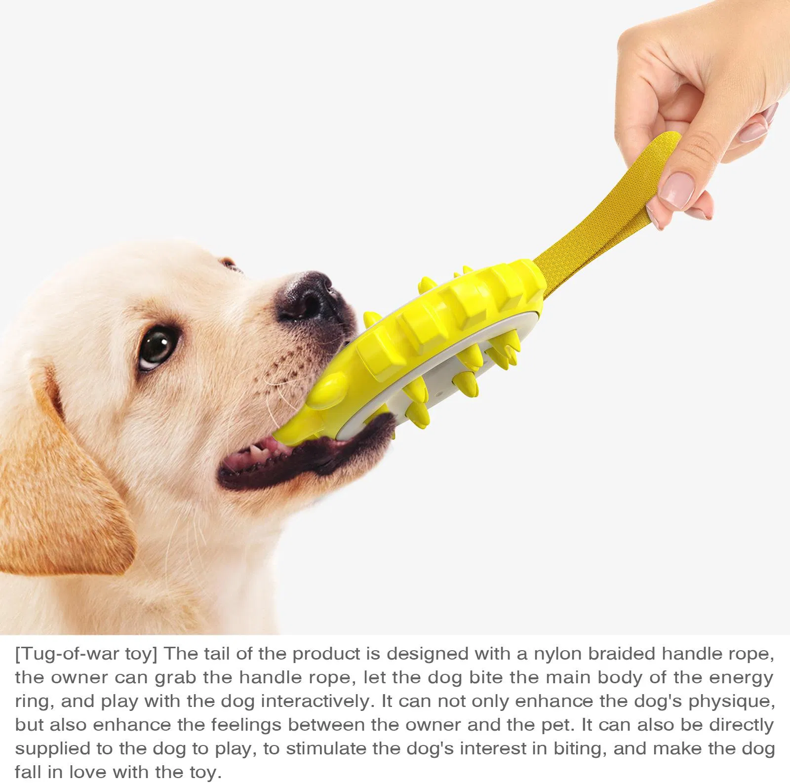 2025 Hot Selling Dog Chew Toys Funny Pet Teething Toothbrush Cleaning Toys