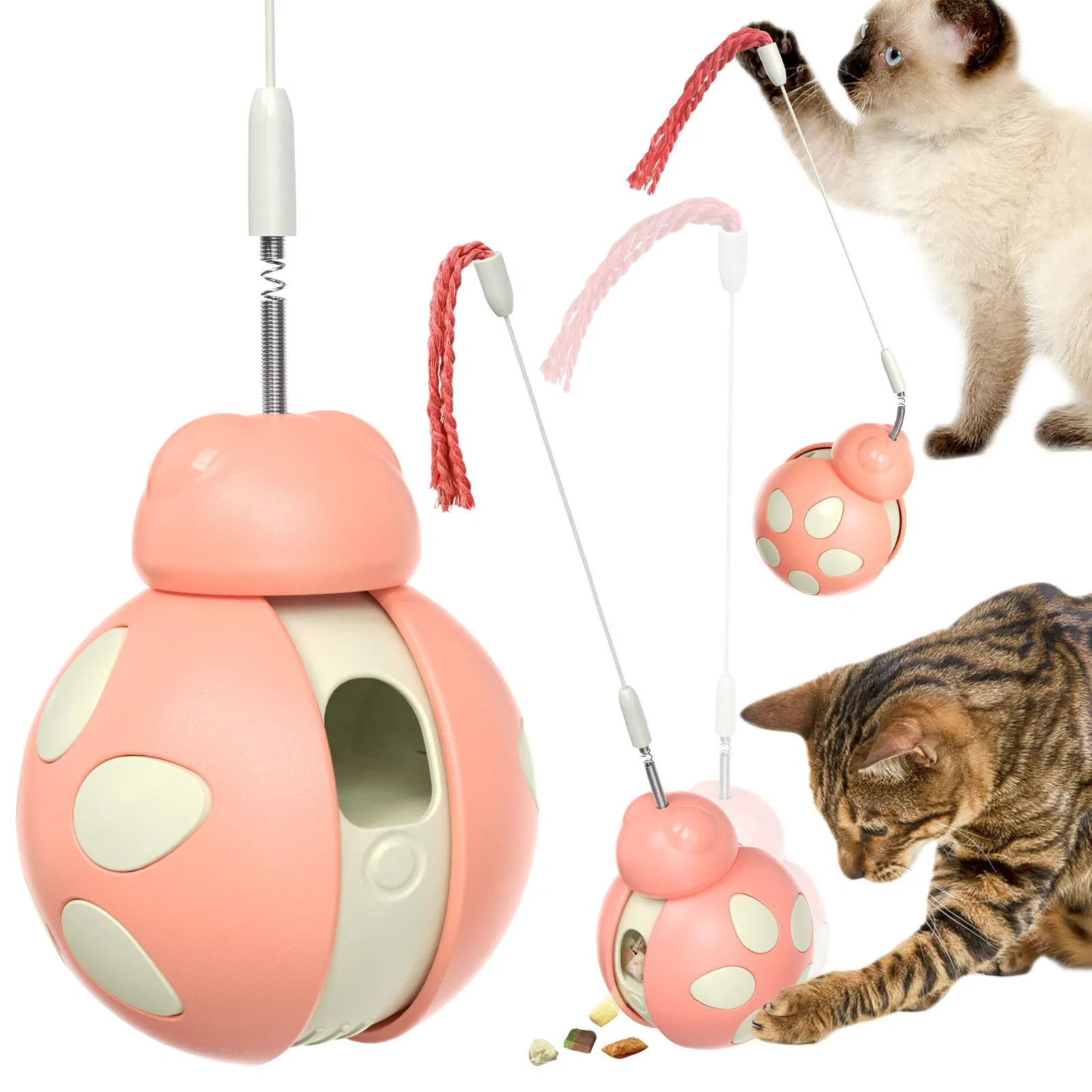 Durable Interactive Pet Toy for Cats with Beetle Glide Puzzle Design