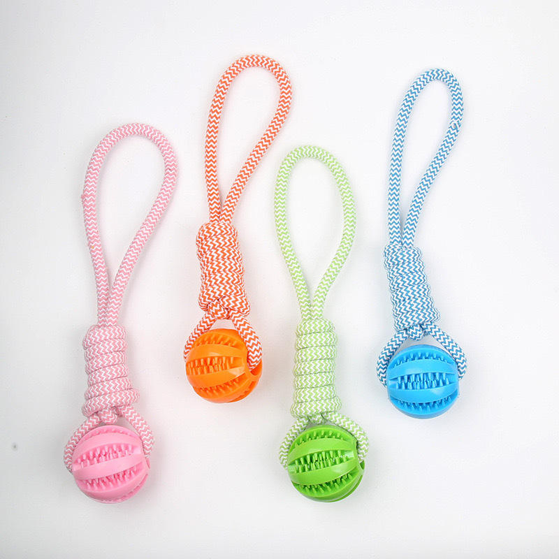 2025 Pet Chew Toy: Rubber Squeaky Ball with Rope Design Dog Toy