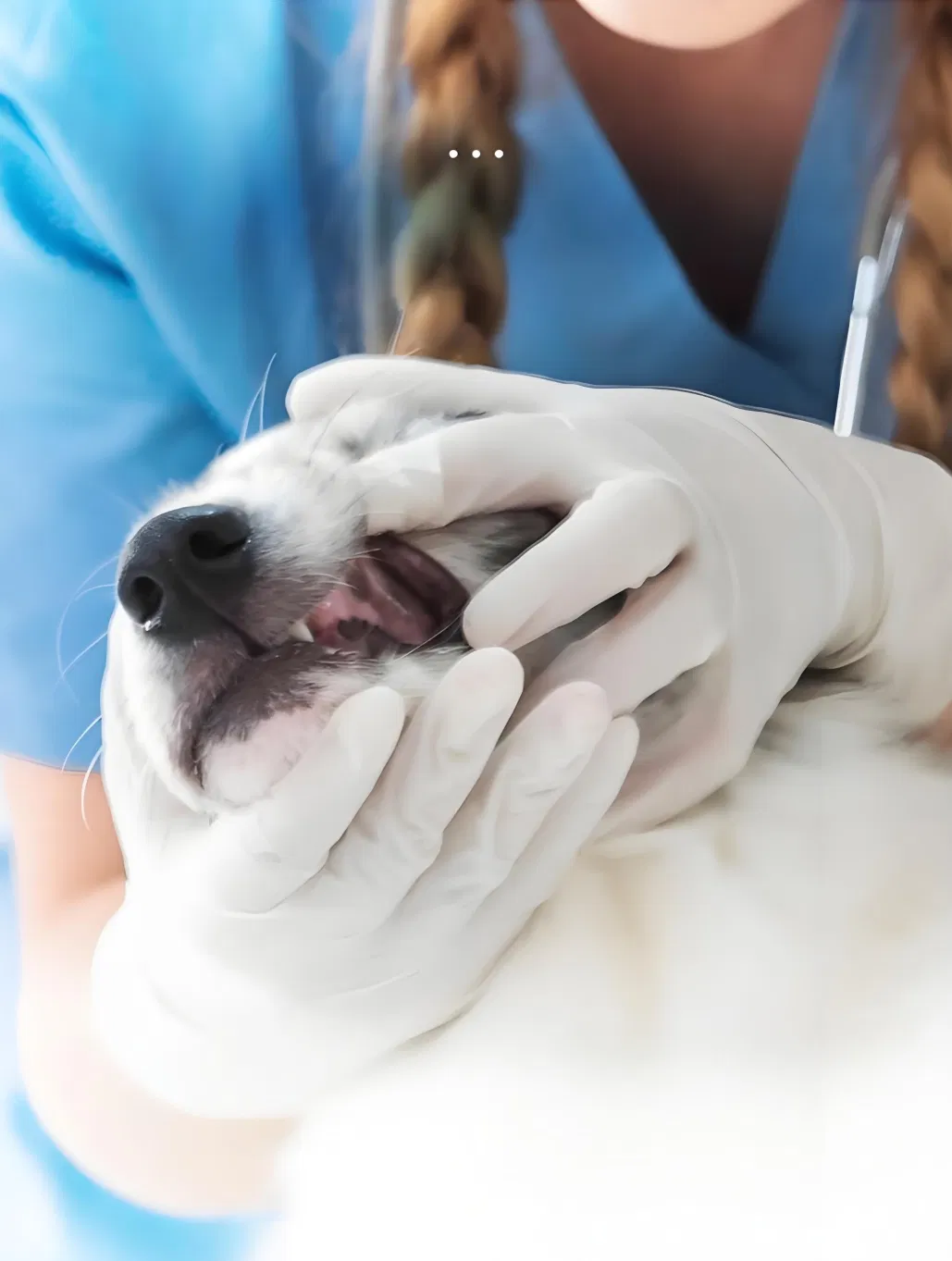 Dental Care Benefits